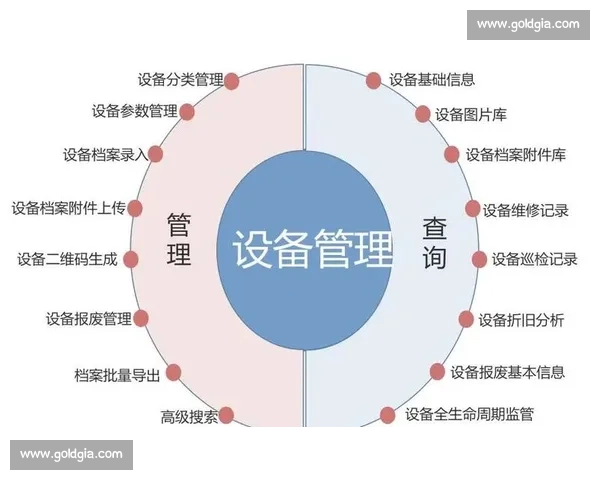 以整体系统协调运作为核心提升组织效率与管理水平的新策略
